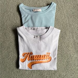 Aritzia T Shirt Bundle